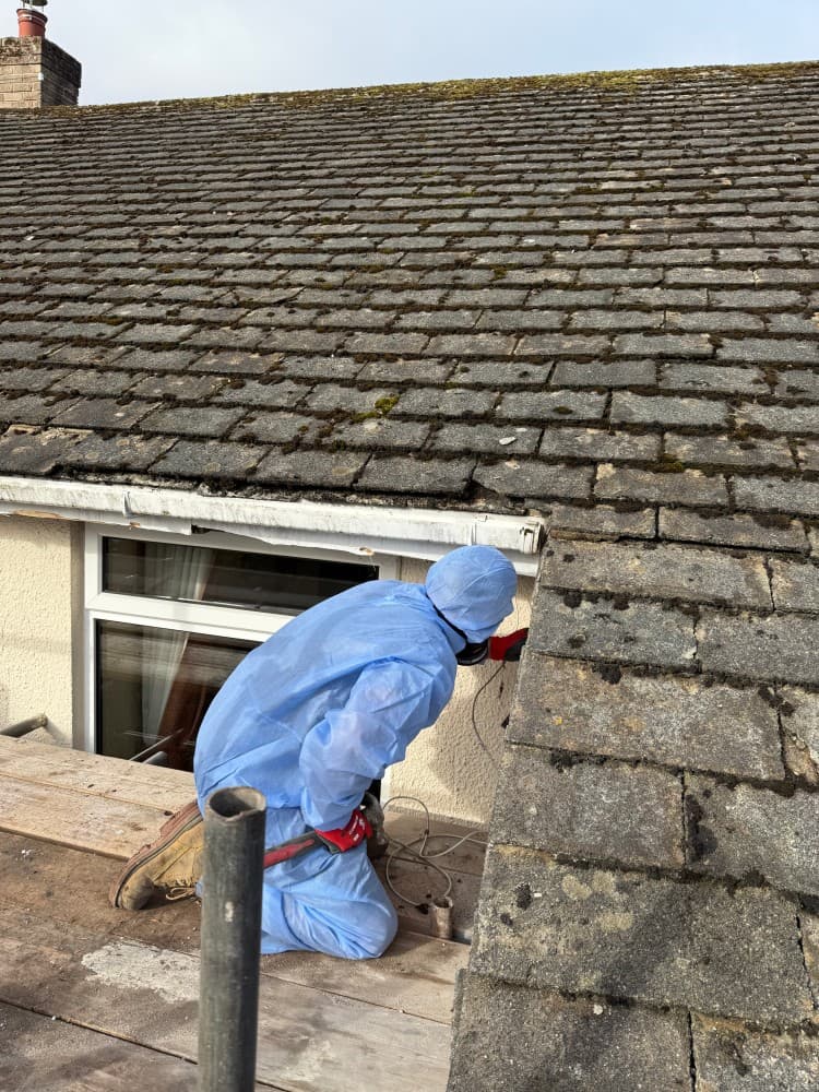 Asbestos roof removal